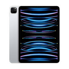 IPAD PRO M4 13 INCH WI-WIFI 256GB CELLULAR