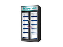 HISENSE 2-DOOR 810 LITER CHILLER, FL-81