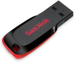 SanDisk Flash Drive 2GB 