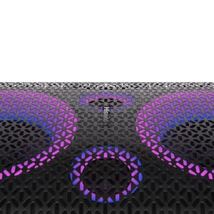 Hisense Ultimate Wireless Outdoor/Indoor Party Speaker with subwoofer, 2.0CH, 300W, IPX4 Waterproof,15 Hour Long-Lasting Battery, Bluetooth5.0, DJ and Karaoke Mode (HP100)