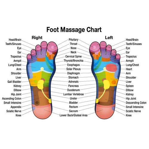 Smart Kneading Rolling Vibration Shiatsu Heat Foot Calf Leg Massager 110V US Plug Electric Stimulator Adjustable Tilt And Washable Sleeves Perfect For Relexable  And  Pain Relief -Multicolor