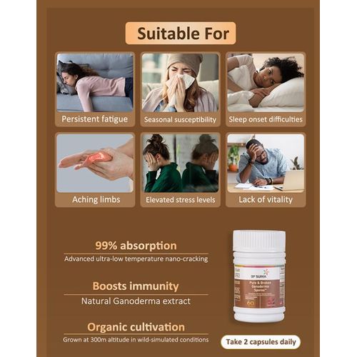 BFSuma Pure And Broken Garnoderma Spores Ga