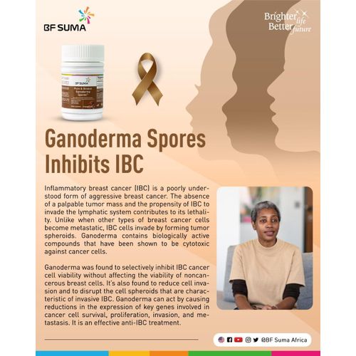 American Pure & Broken Garnoderma Spores