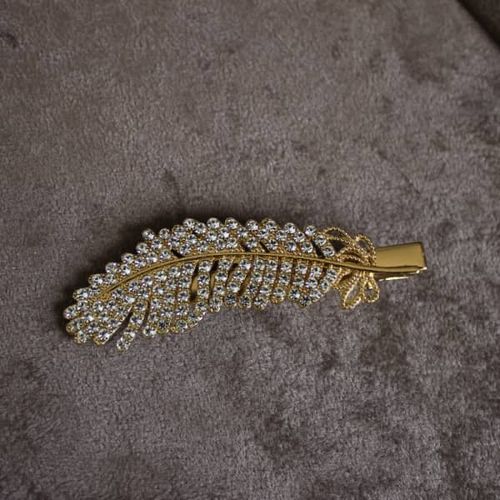 Iron Hair Clip - Silver/Gold