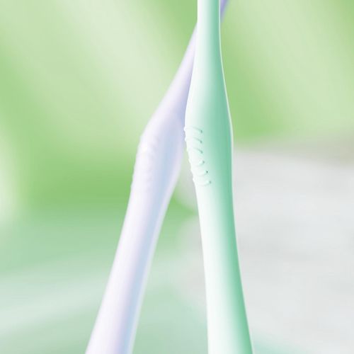 5  Brush Portable Multipurpose Cleaning