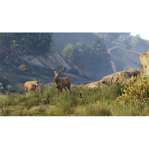 Grand Theft Auto V PlayStation 4 Game Disks- Multicolor