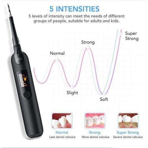 2 In 1 Electric Toothbrush, Sonic Dental Scaler, Waterproof Dental Scaling Kit