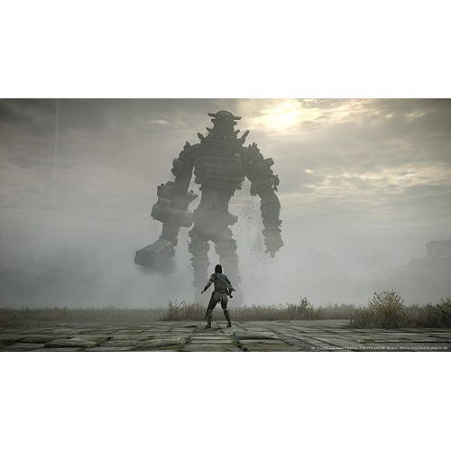 Shadow of the Colossus (PS4)