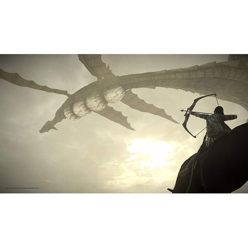 Shadow of the Colossus (PS4)