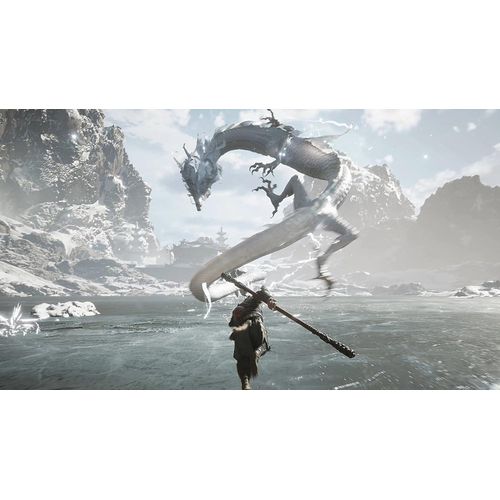 GAME SCIENCE Black Myth Wukong PS5