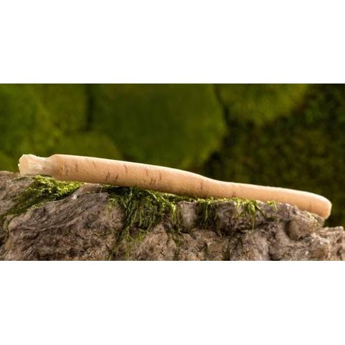 Miswak Siwak Natural Toothbrush Misvak Traditional Arak Miswaak Manual Teeth Whitener Soft Travel Wood Toothbrush