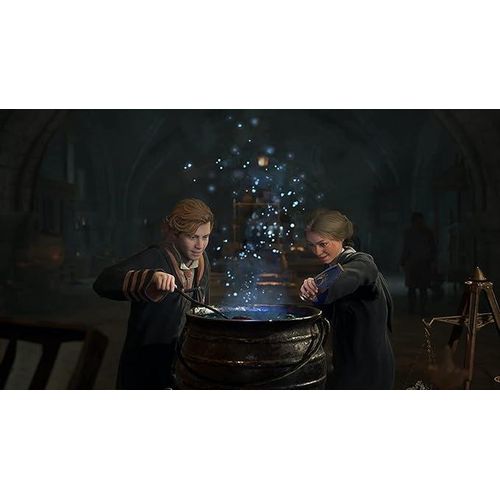 Warner Home Video Games Hogwarts Legacy PS4