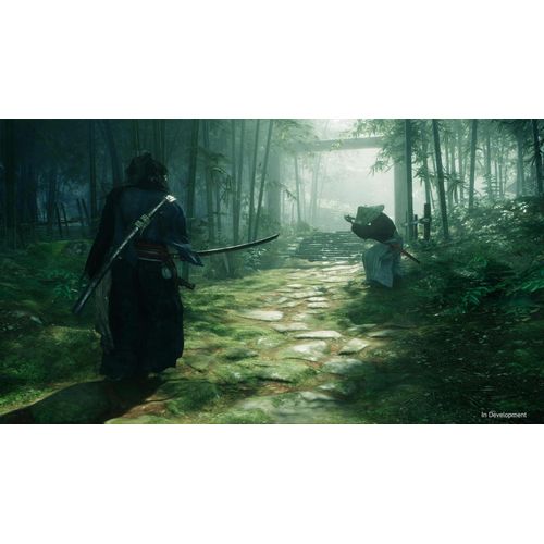 Sony Computer Entertainment Rise of the Ronin - PlayStation 5