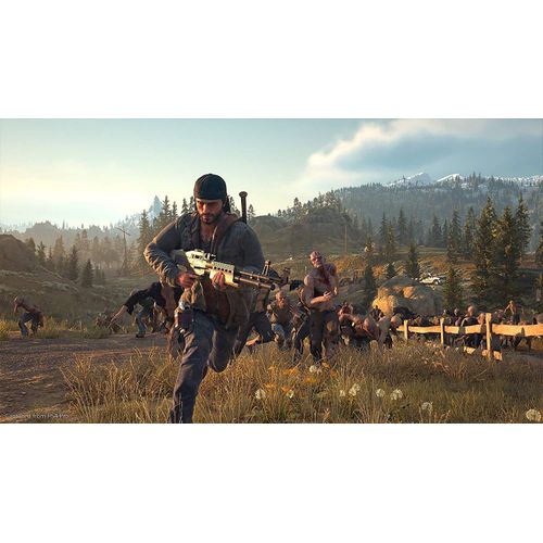 Sony Computer Entertainment Days Gone PS4