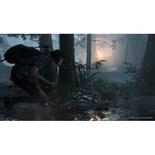 The Last of Us Part 2 - PlayStation 4 By Naughty Dog