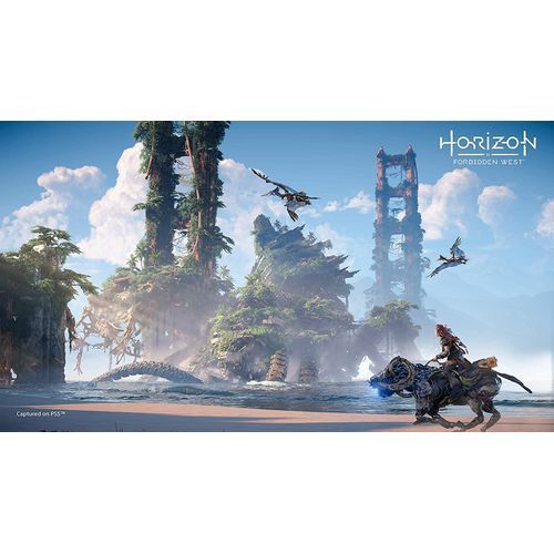 Playstation Horizon Forbidden West PS5 / P5-Green