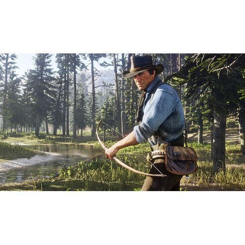 Sony Computer Entertainment Red Dead Redemption 2 (PS4)