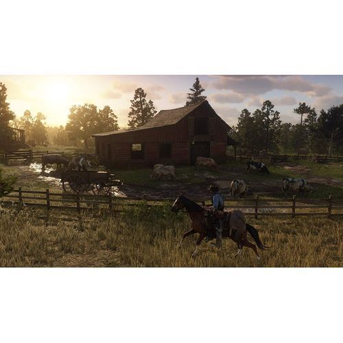 Sony Computer Entertainment Red Dead Redemption 2 (PS4)