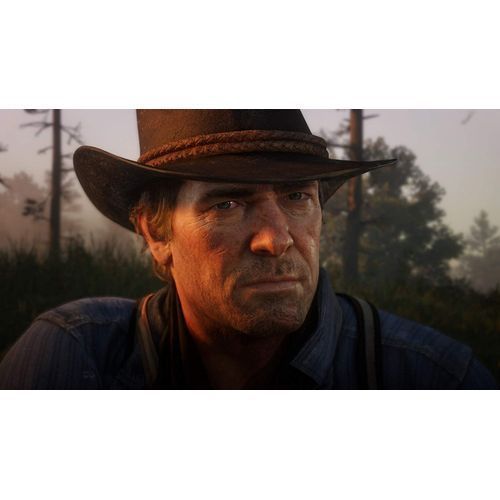 Sony Computer Entertainment Red Dead Redemption 2 (PS4)