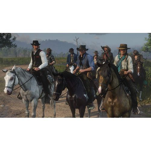 Sony Computer Entertainment Red Dead Redemption 2 (PS4)