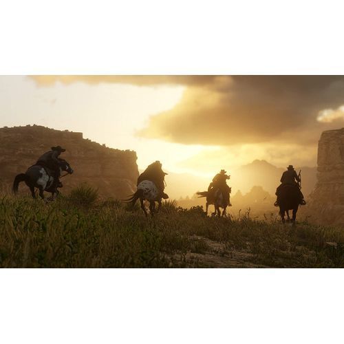 Sony Computer Entertainment Red Dead Redemption 2 (PS4)