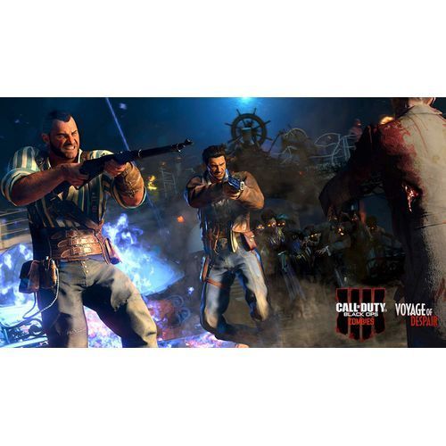 Sony Computer Entertainment Call of Duty: Black Ops 4 Online (PS4)