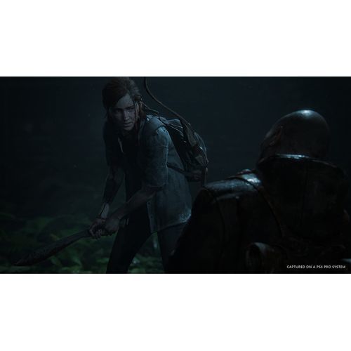 Sony Computer Entertainment The Last of Us Part 2 _ PlayStation 4