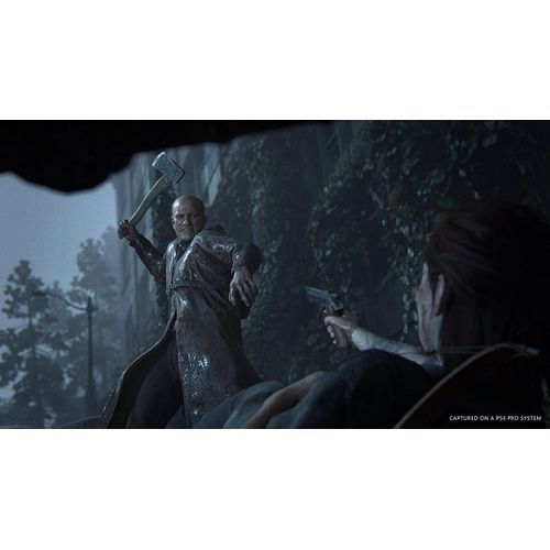 Sony Computer Entertainment The Last of Us Part 2 _ PlayStation 4