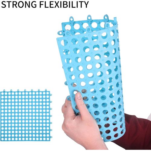 12 Pack 12