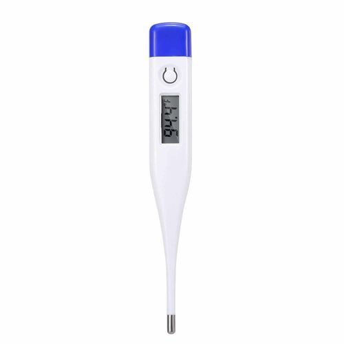 Citizen Systems Digital Thermometer With Beeper