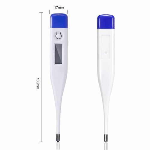 Citizen Systems Digital Thermometer With Beeper