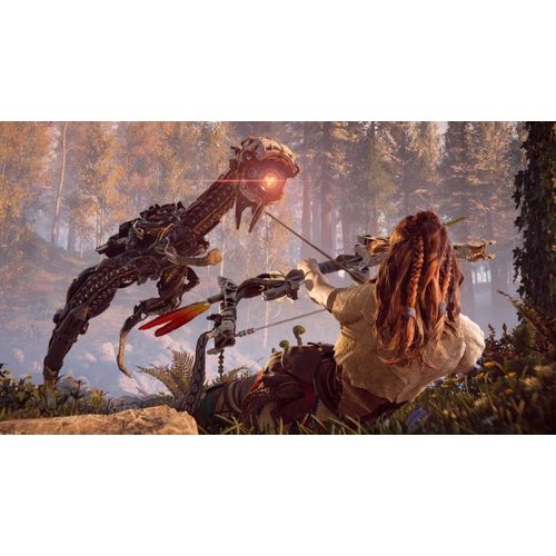 Horizon Zero Dawn Complete Edition On Free Flash Disk