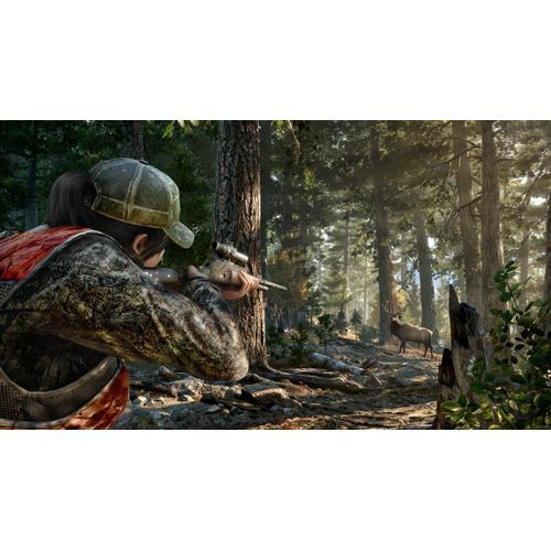 Ubisoft Entertainment Far Cry 5 PC Games On Free Flash Disk