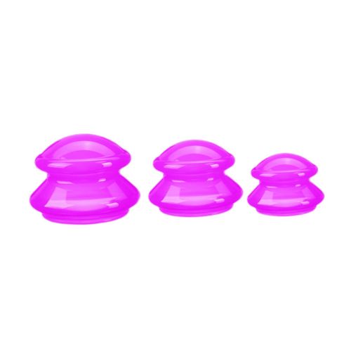 3 Pieces  Massage Cup Professional Vacuum Rose