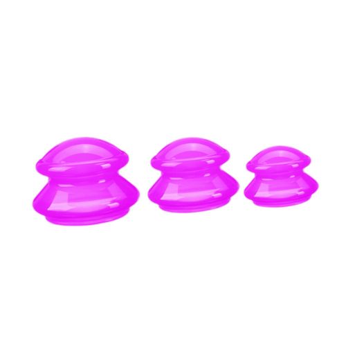 3Pcs Suction Cup Massage Cup Chinese Massage Cups For Rose