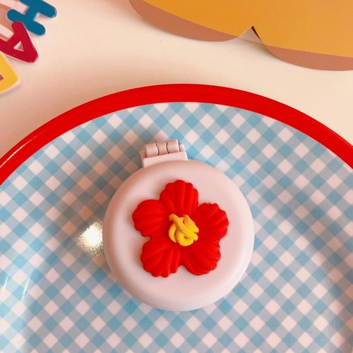 Small Mirror With Brush Portable Travel Mirror Hair Flower