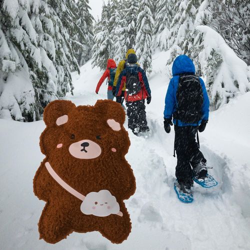 Hot Water Bottle, Winter