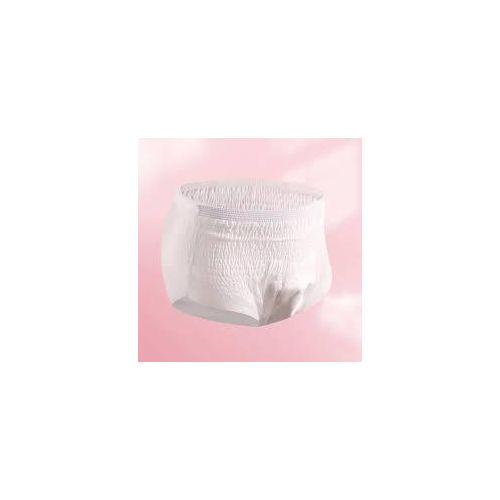 Period Panties - Disposable Pad Alternative 8pcs