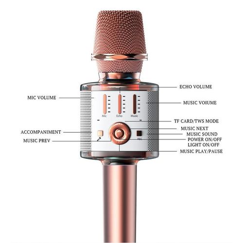 Karaoke Microphone for Kids & Adult, Handheld Wireless Bluetooth Karaoke Mic Speaker Music Player Recorder with LED Lights for Birthday Party, Wedding, Christmas