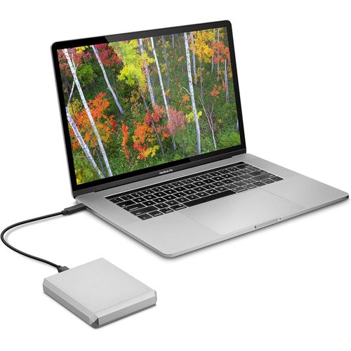 Mobile Drive, 4TB, External Hard Drive, Moon Silver, USB-C, 2 year Rescue Services (STHG4000400)- Silver