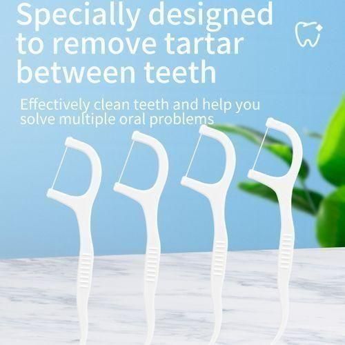 Dental Floss Picks Toothpicks Tooth Cleaning Oral Care Tool
