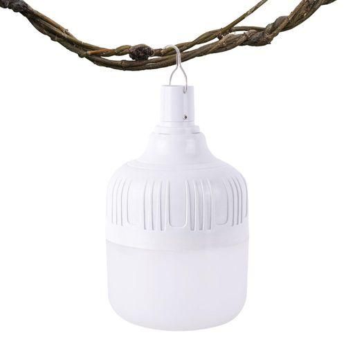 Dp Light 30W Long Lasting Rechargeable/Emergency Bulb With Pin Connection And Free Clip Holder For For Both Indoor And Outdoor Use