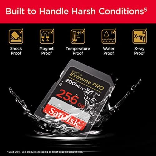 Sandisk 256GB Extreme PRO SDXC UHS-I Memory Card - C10, U3, V30, 4K UHD, SD Card - SDSDXXD-256G-GN4IN, Dark gray/Black