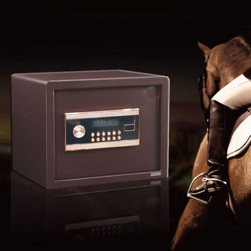 D25 Security Safe Box, Safe with Password Lock, Important File Security Encryption Locker All Steel Structure Electronic Password Safe - Multicolor