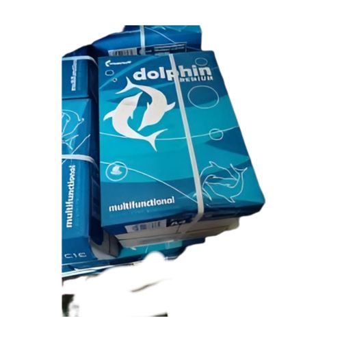 Dolphin Papers Caton Box
