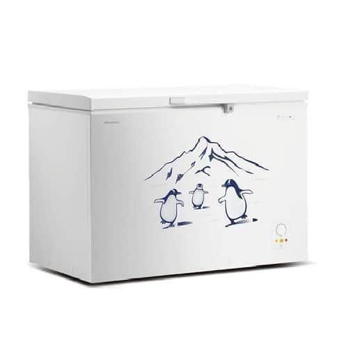 Hisense 260L / 260 LITERS Chest Freezer  - Grey
