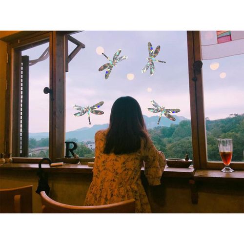 8 Window Stickers Stick For Birds, Butterflies And