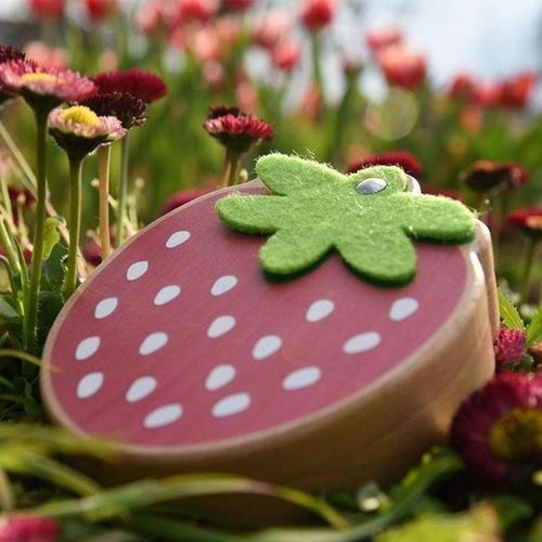 Strawberry Preserved Baby Teeth Wooden Preservation Box