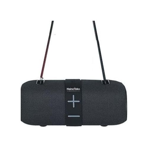 S65 Portable Bluetooth Speaker with Power Bank Function with Carrying Strap Supports FM Radio and with USB and Memory Card Slot Elegant-Multicolor