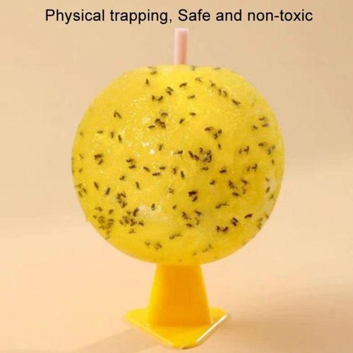 8cm Fruit Fly Balls Indoor Insect Trap Sticky Insect Balls